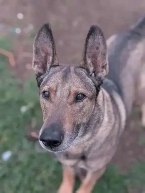 Zaxby photo 5