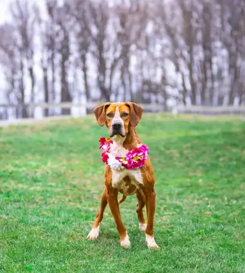 Addie photo 3