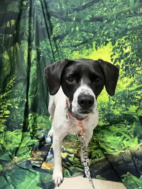 Addie photo 4