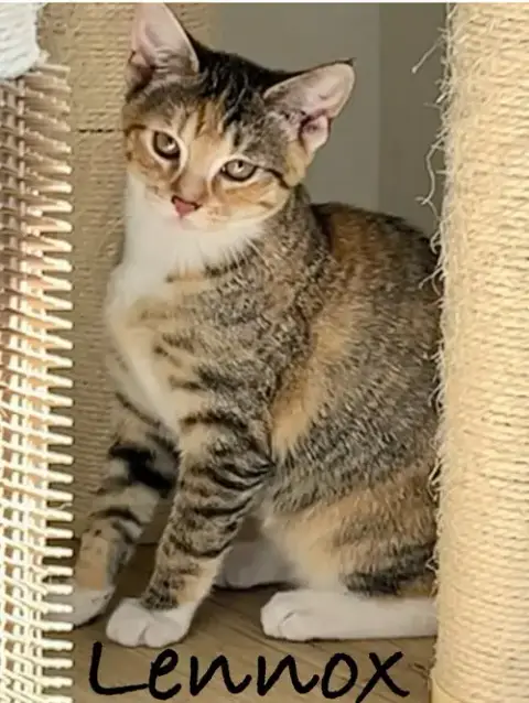 Lennox