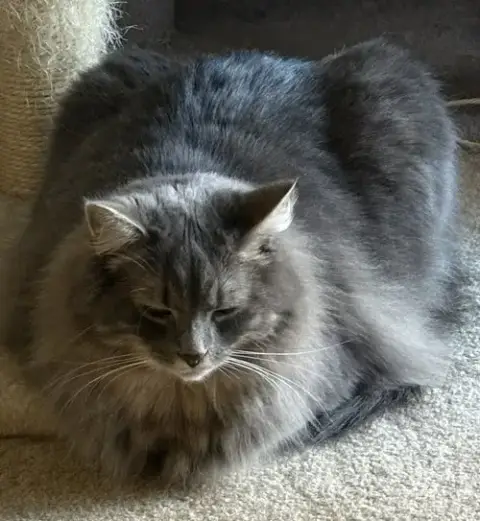 Bella photo 3