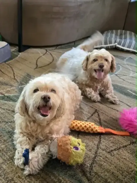 Jena & Zach