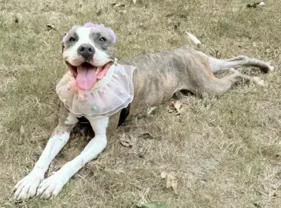 Pretty Princess Foster Needed Too! photo 4