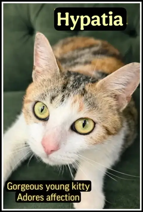 Hypatia