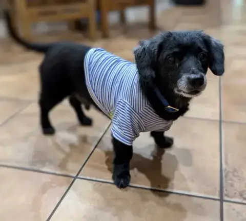 Buster photo 3