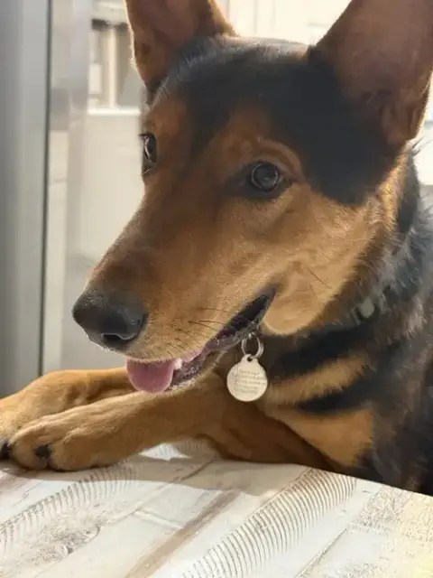 Loki #12