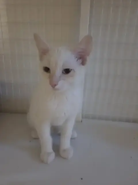 Finn photo 2