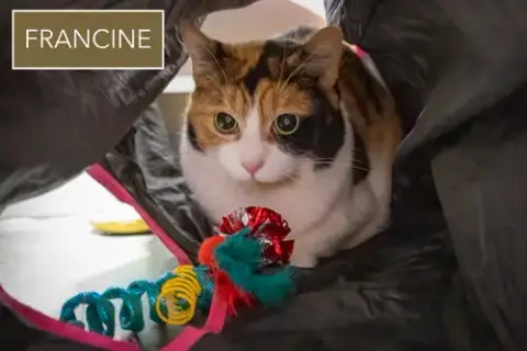 Francine W/Drifter photo 5