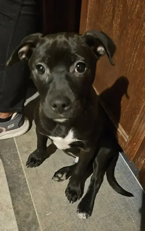 Cash photo 4