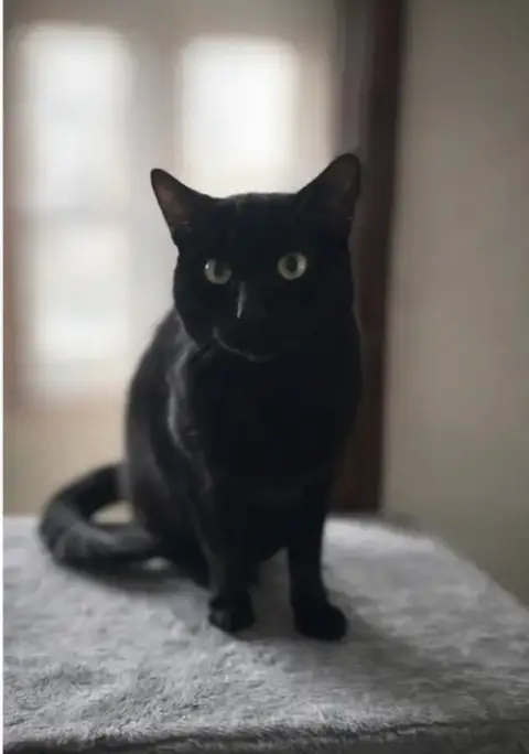 Nebraska