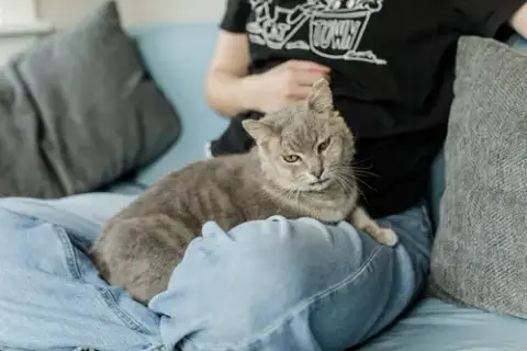 Gandalf photo 3