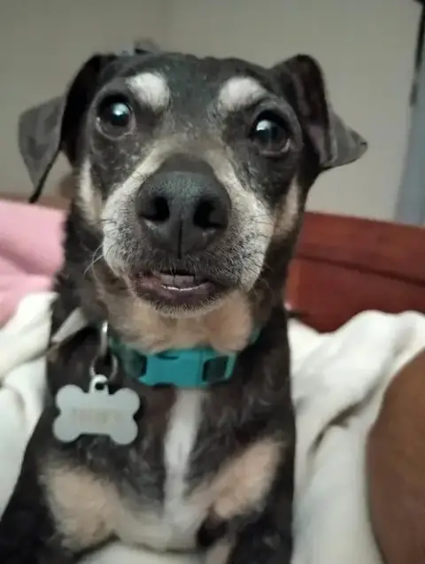 Huey photo 4
