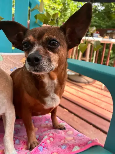 Ellie Mae Jun 25 photo 4