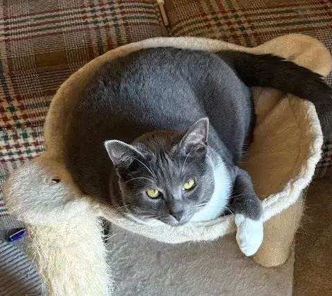 Bella photo 2