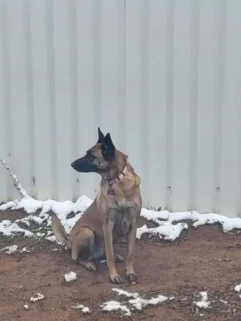 Roxanne Located In New Mexico photo 3
