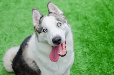 Max photo 3