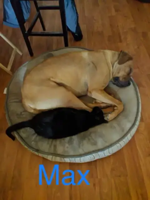 Max