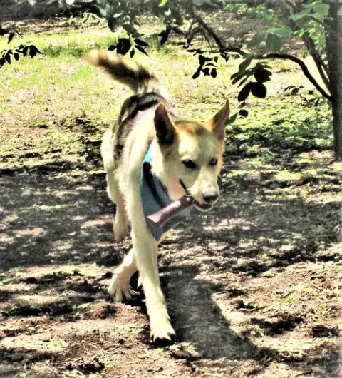 Luka photo 5