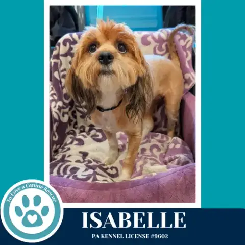 Isabelle photo 4