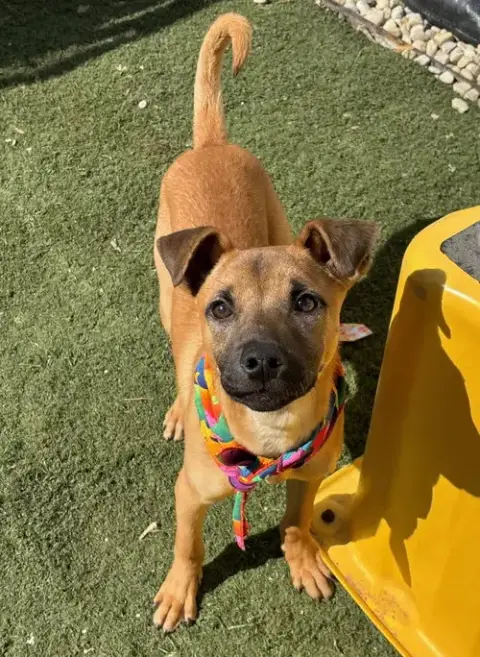 Elsie photo 4