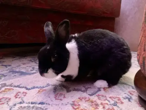 Lizi photo 2