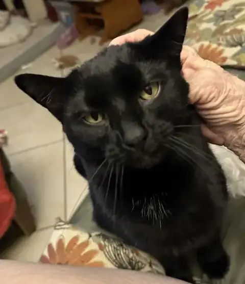 Jack