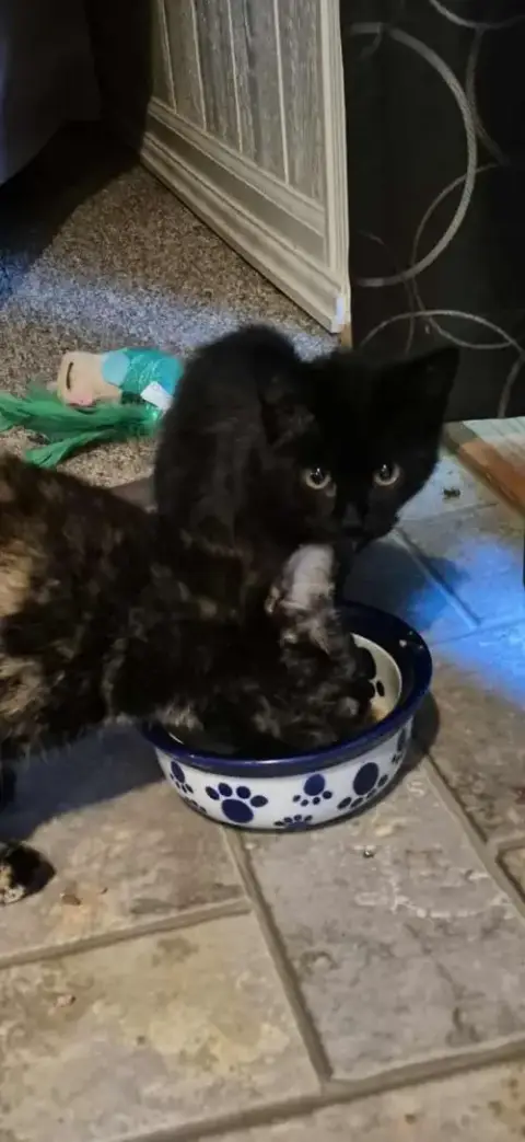 Binx