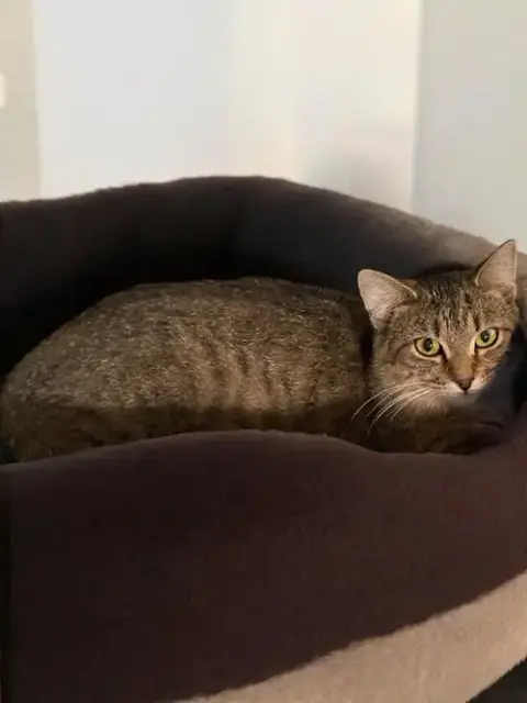 Trudy photo 2