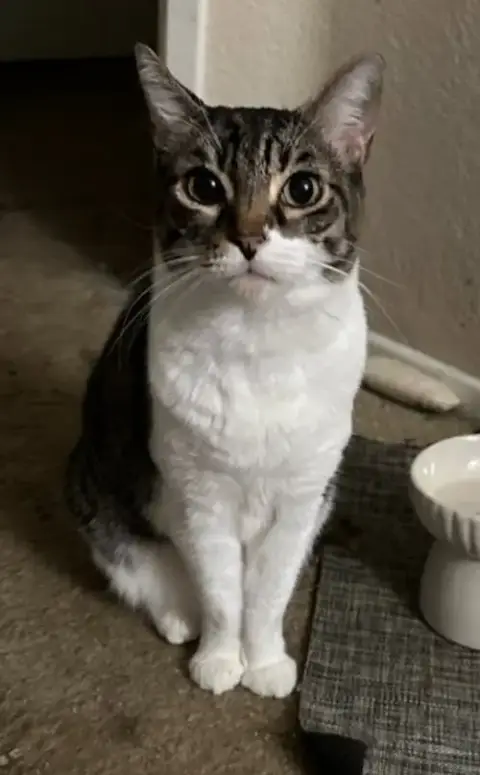 Audrey