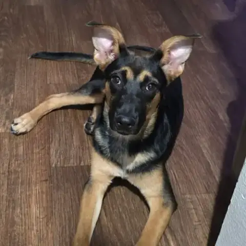Riley Iii