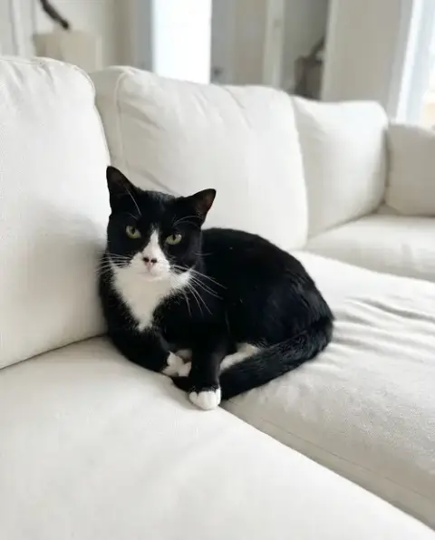 Marty
