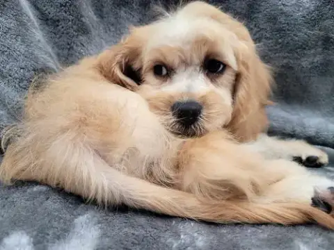 Butters photo 4