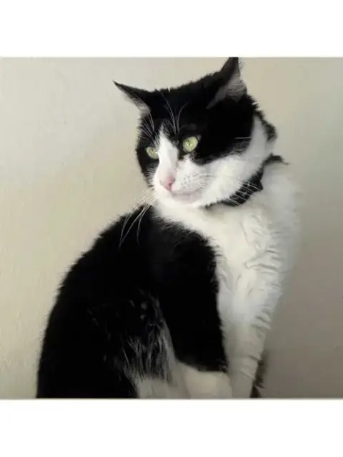 Mariah Purry photo 2
