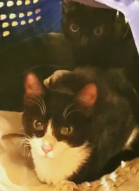 Birdie & Chief photo 3