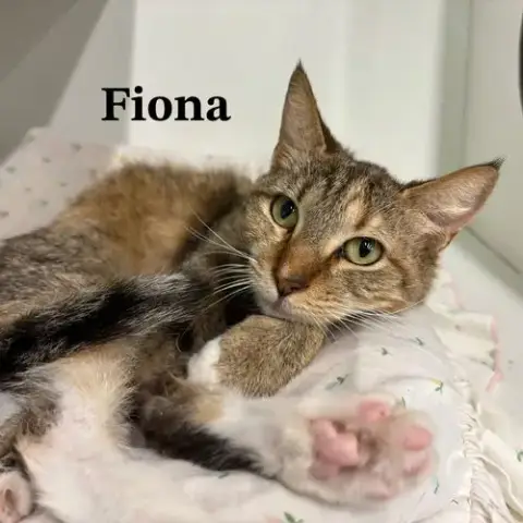 Fiona photo 3