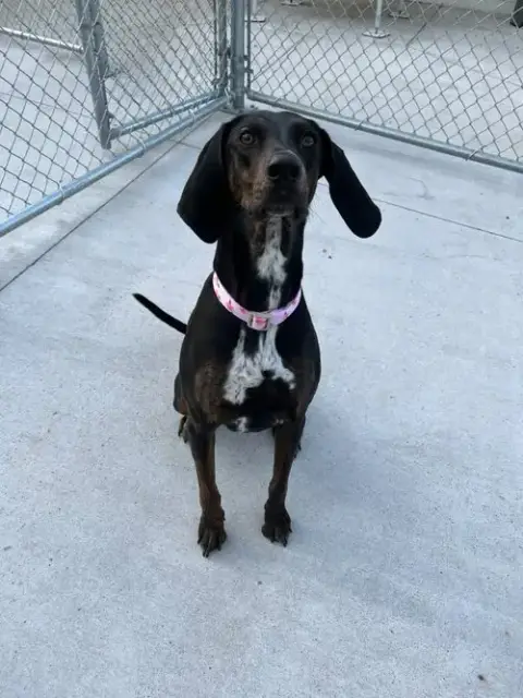 Maggie