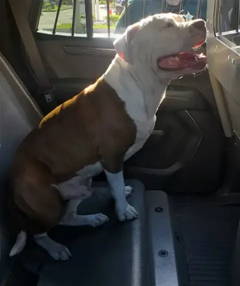 Buster