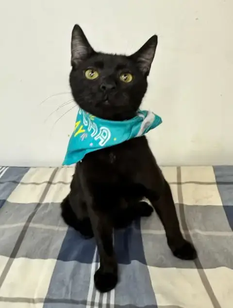 Todd photo 4