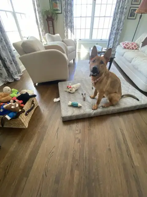 Bonnie photo 4