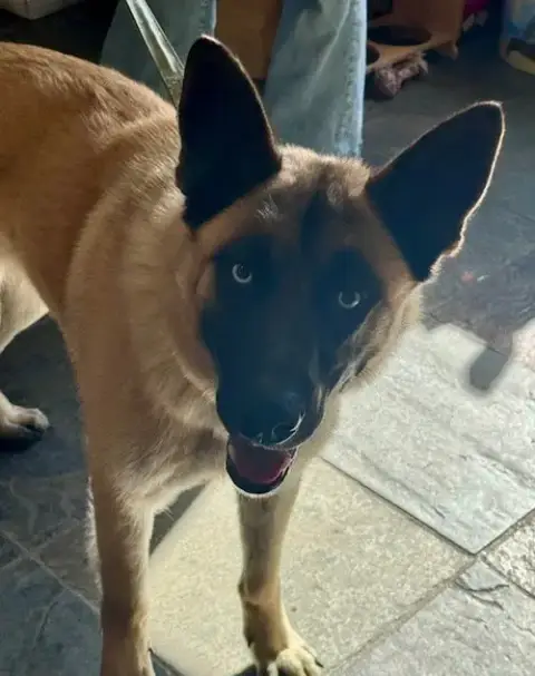 Riggs