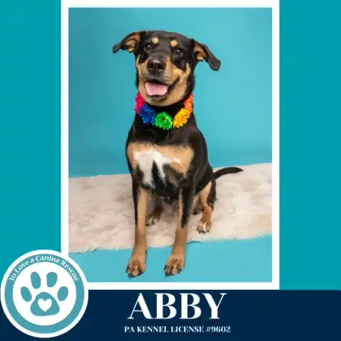 Abby