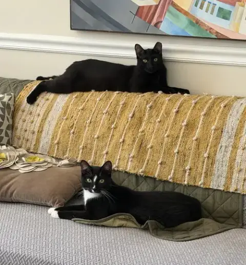 Midnight & Alex