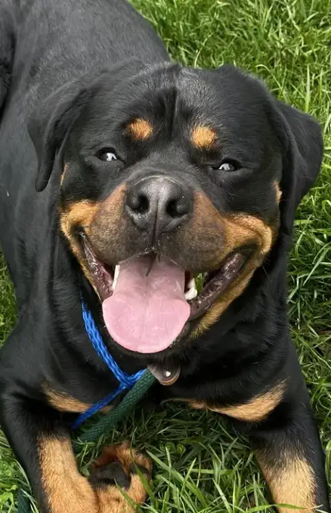 Benson