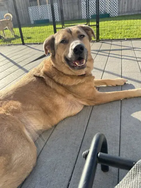 Fergus