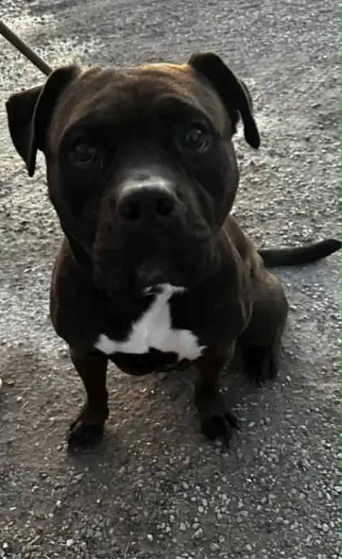 Zeus Maximus photo 4
