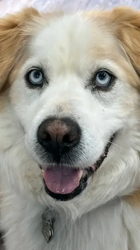 Darwin