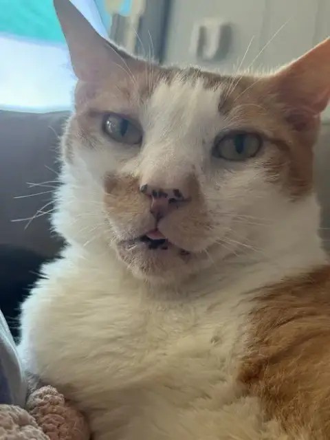 Stanley