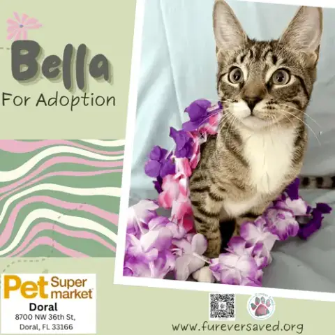Bella photo 5