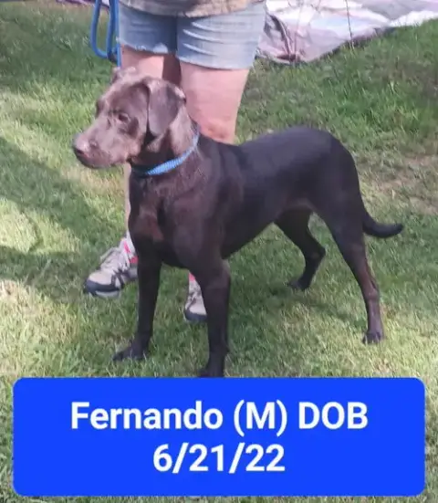 Fernando photo 5