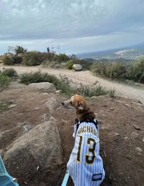 Arlo photo 3